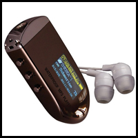 TEMPO G2                                                                            -100% Waterproof MP3 Player, FM Tuner & Earphones